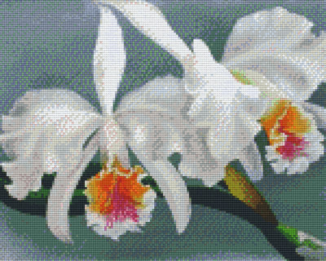 Orchids Nine [9] Baseplates PixelHobby Mini- mosaic Art Kit image 0
